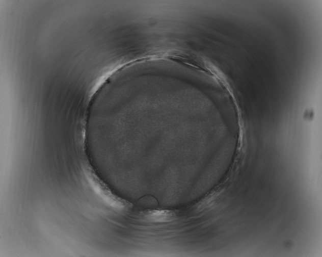 X0000115370059200911241249