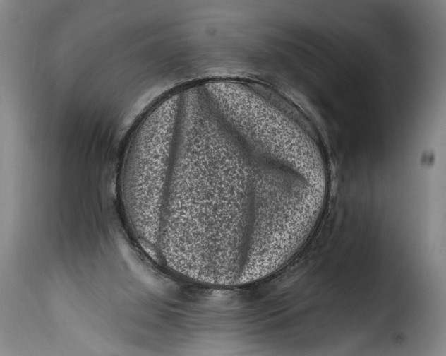 X0000115370060200911241249