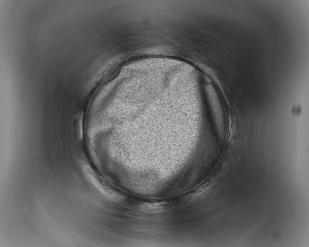 X0000115370061200911241249
