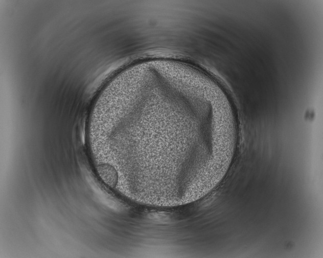 X0000115370062200911241250