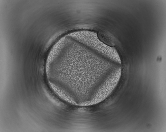 X0000115370064200911241250