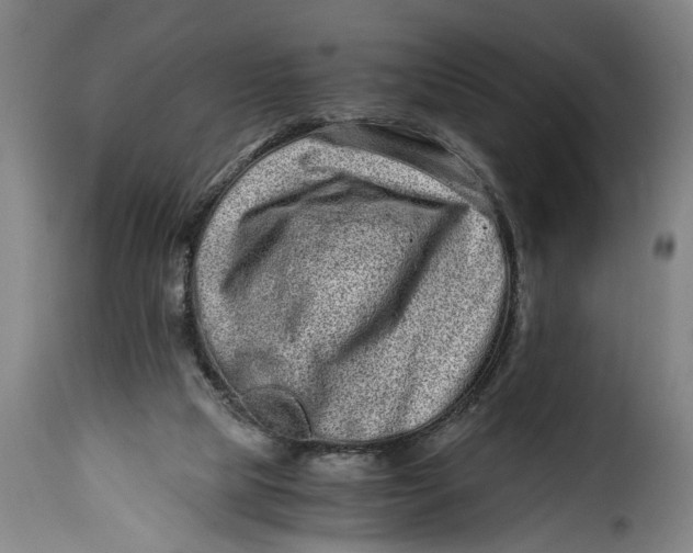 X0000115370065200911241250