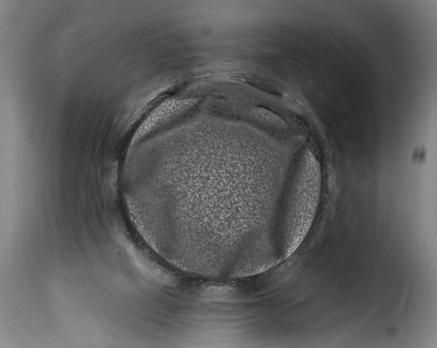 X0000115370066200911241250