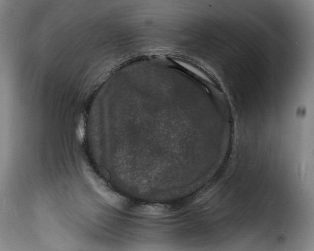 X0000115370069200911241250