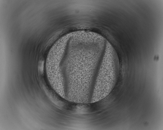 X0000115370070200911241250