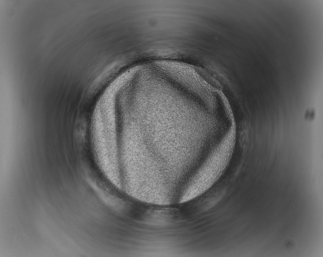X0000115370072200911241250