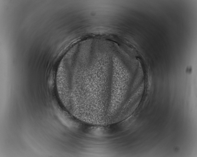 X0000115370074200911241250
