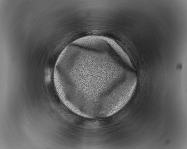 X0000115370075200911241250