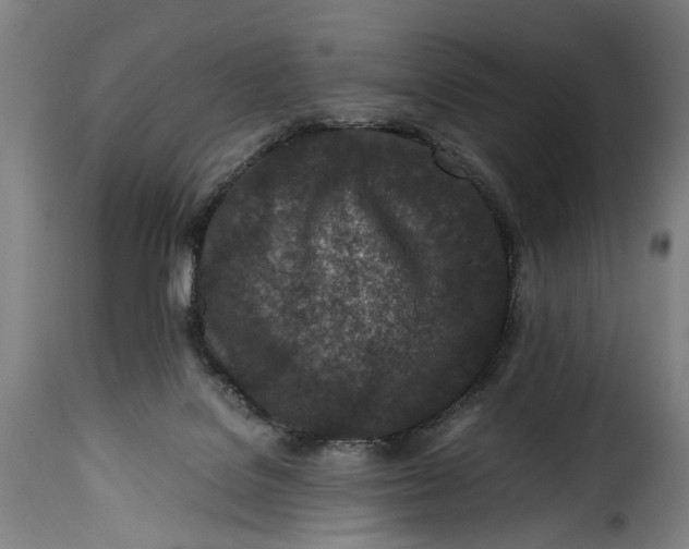 X0000115370076200911241250