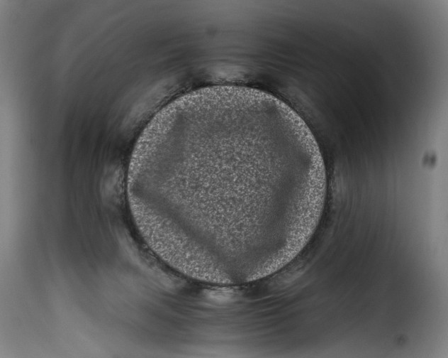 X0000115370079200911241250