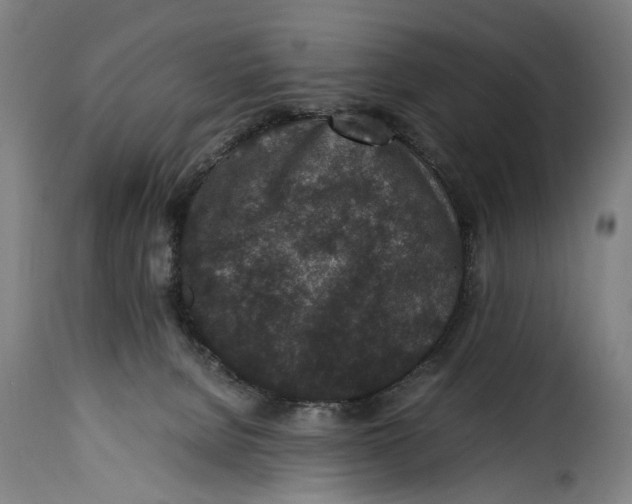 X0000115370080200911241250