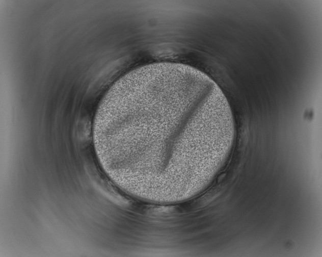 X0000115370081200911241250