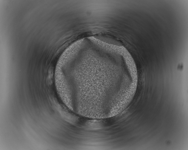 X0000115370082200911241250