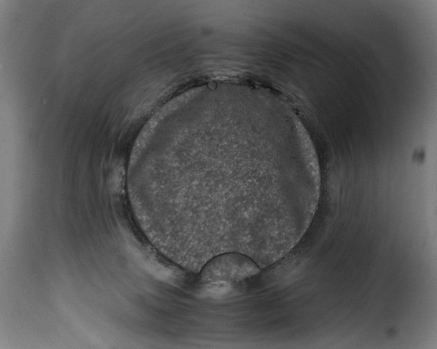 X0000115370083200911241250