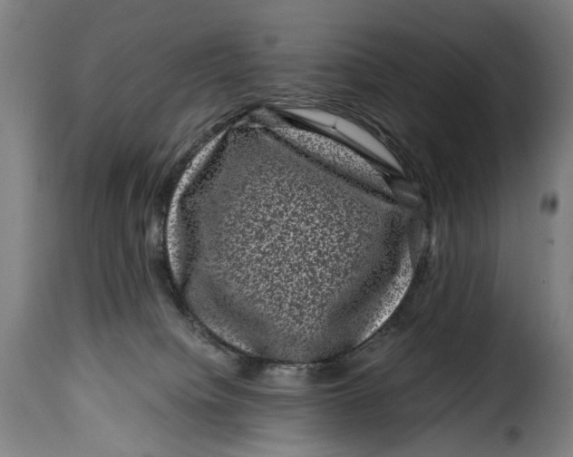 X0000115370084200911241250