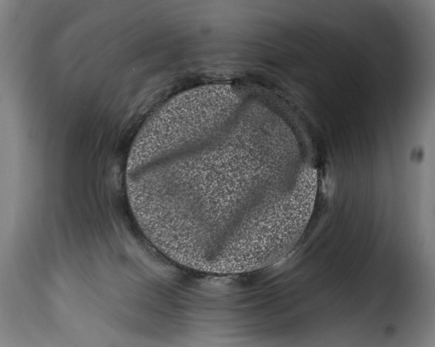 X0000115370086200911241250