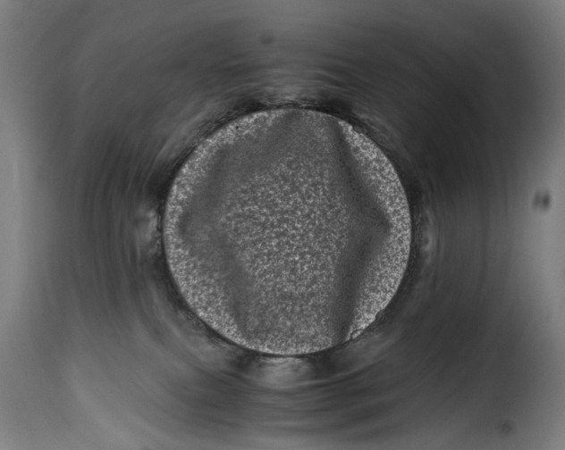 X0000115370087200911241250