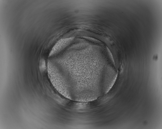 X0000115370089200911241250