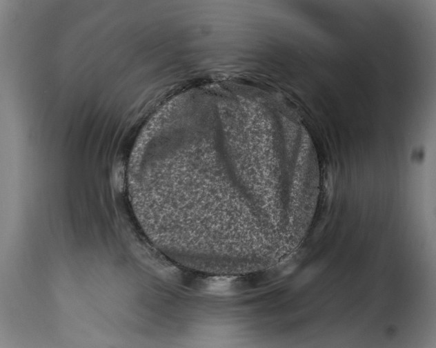 X0000115370090200911241250
