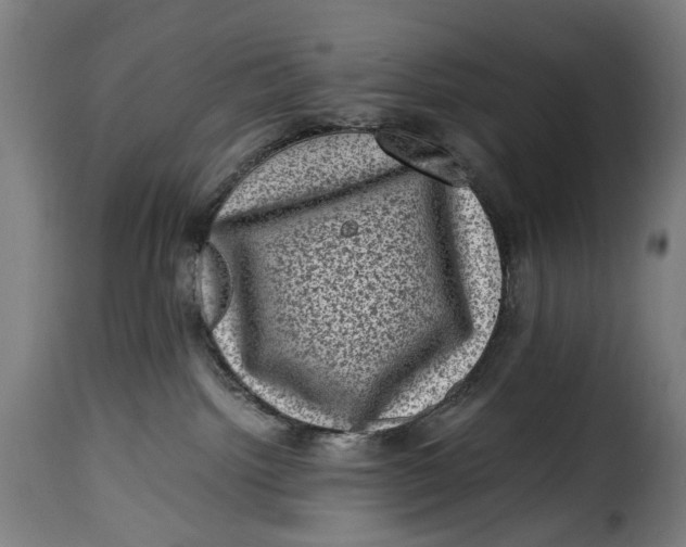 X0000115370092200911241250