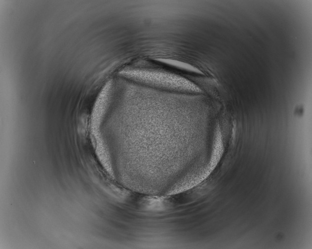 X0000115370093200911241250