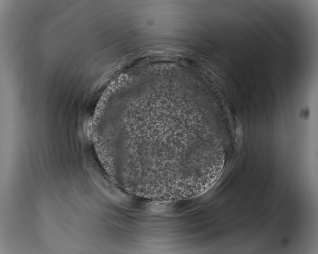 X0000115370094200911241250
