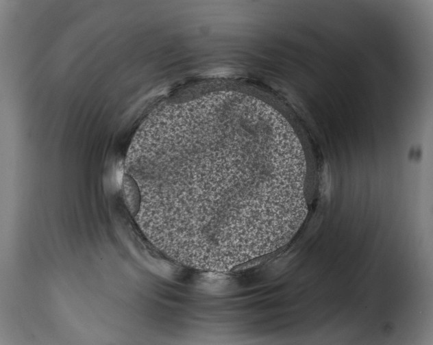 X0000115370095200911241250