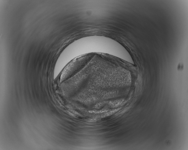 X0000115370096200911241250