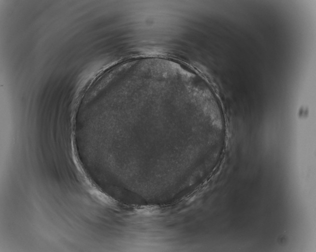 X0000115370097200911241249