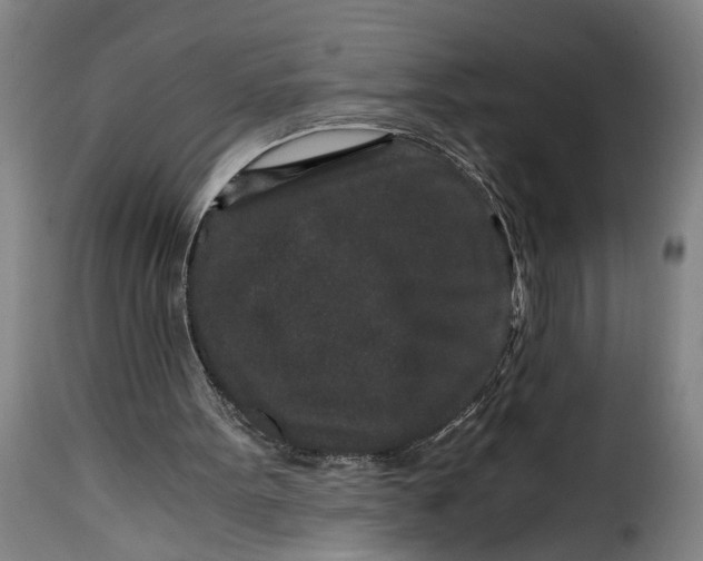 X0000115370099200911241249