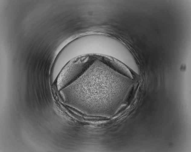 X0000115370100200911241249