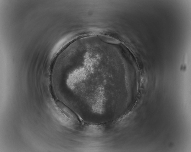 X0000115370101200911241249