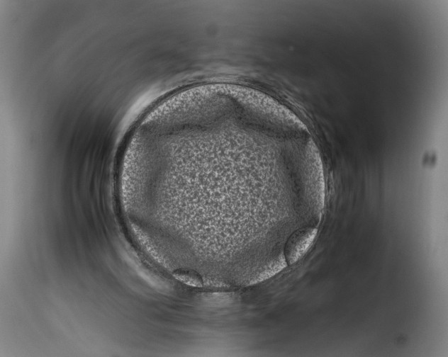 X0000115370102200911241249