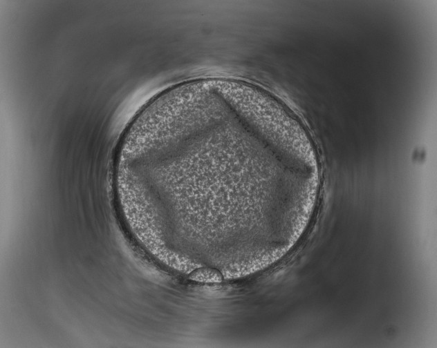 X0000115370103200911241249