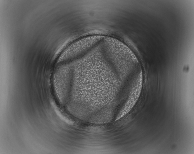 X0000115370106200911241249