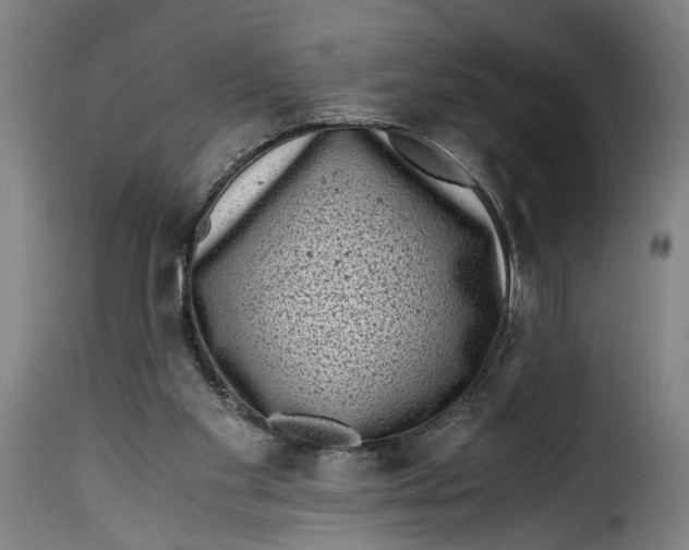 X0000115370109200911241249