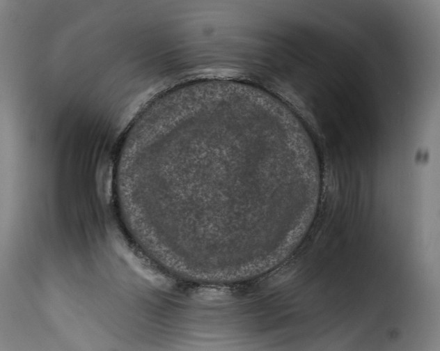 X0000115370110200911241249