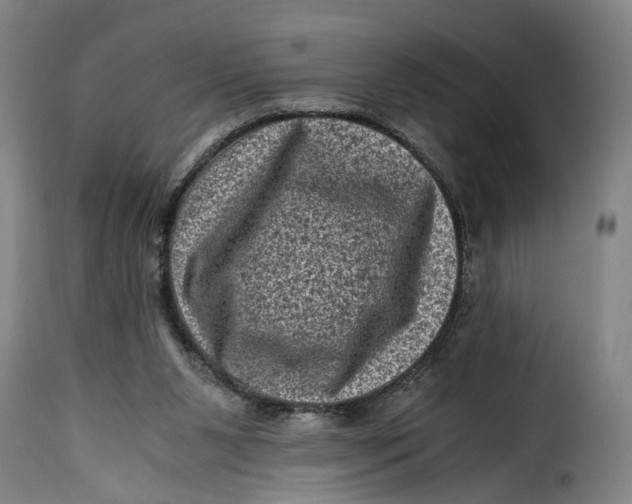 X0000115370111200911241249