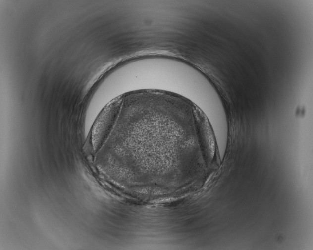 X0000115370112200911241249