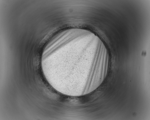 X0000115370113200911241249
