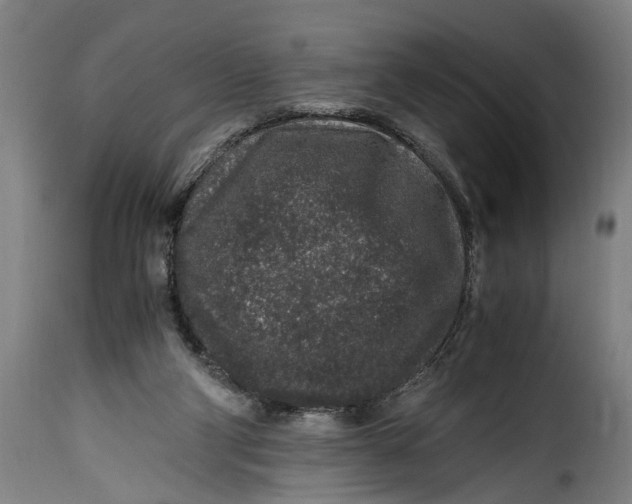 X0000115370114200911241249