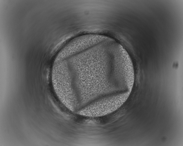 X0000115370115200911241249