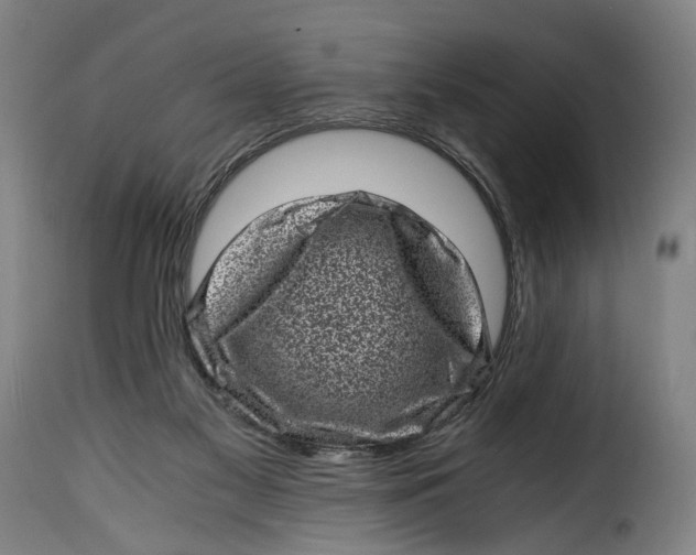 X0000115370117200911241249