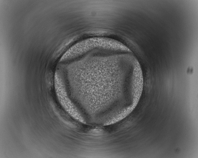X0000115370119200911241249