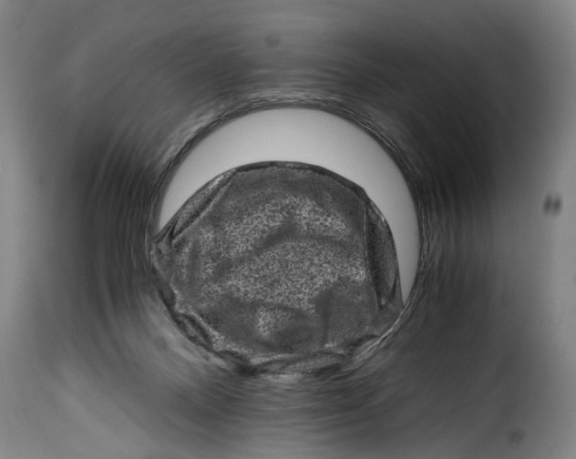 X0000115370120200911241249