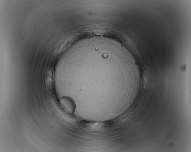 X0000115370122200911241249