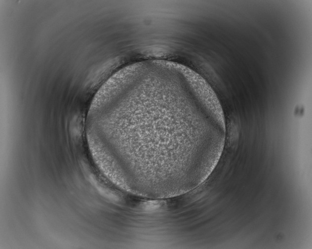 X0000115370126200911241249