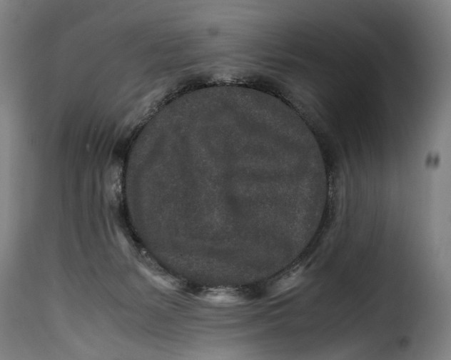 X0000115370127200911241249
