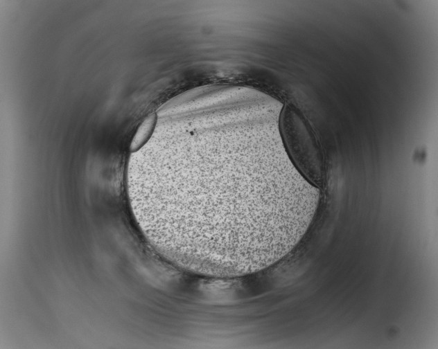X0000115370129200911241249