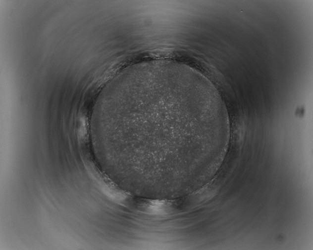 X0000115370130200911241249